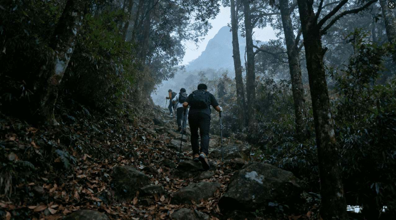 佛跳墙加速器是否含病毒？专家深度解析与安全指南